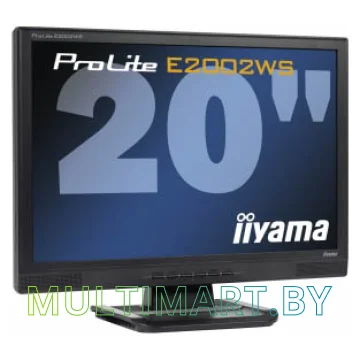 Монитор Iiyama ProLite E1980SD-B1 B